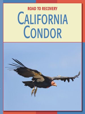cover image of California Condor